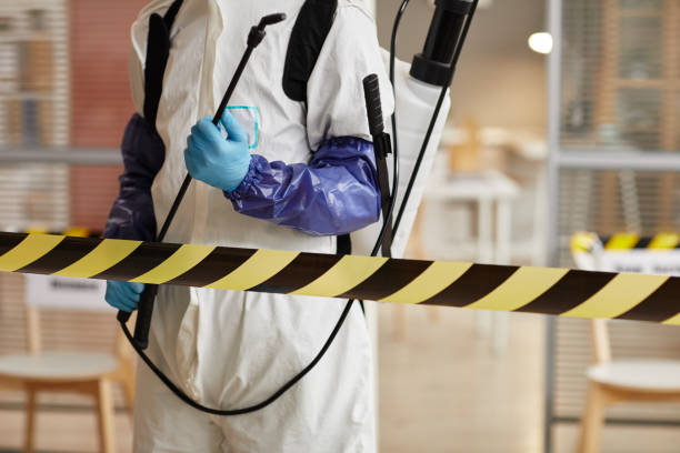 Professional Sewage Cleanup technician working in Farmington, IL
