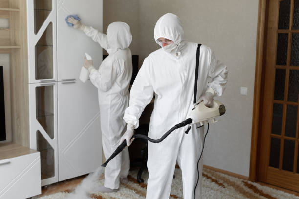 Trusted Sewage Cleanup service in Farmington, IL - Four Month Blood Cleanse